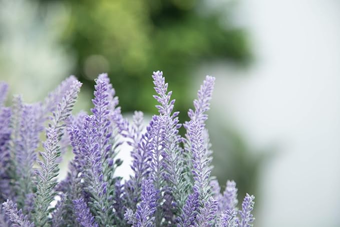 Velener Purple Artificial Lavender Flowers with Decorative Tray Wooden Box 9 Inches - Lifelike Faux Lavender Plants for Home and Office Decor, Fake Lavender Rustic Farmhouse Style