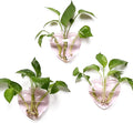 Wall Hanging Planter Propagation Station for Indoor Plants Glass Vase Air Plant Holder Gift for Women Girlfriend Plant Lover