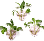 Wall Hanging Planter Propagation Station for Indoor Plants Glass Vase Air Plant Holder Gift for Women Girlfriend Plant Lover