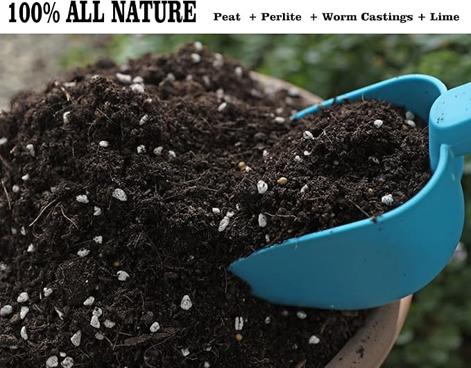 Doter Houseplant Potting Mix 2qt, Fertilized, Perlite Soil for All Types of Indoor House Plants and Tropical Plant