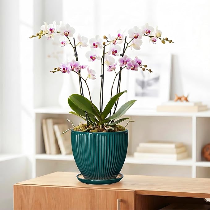 Ceramic Planter, 8 Inch Plant Pots with Drainage Hole and Saucer, Round Flower Pots for Indoor Plants, Modern Decorative Pot for Plants, Bathroom Decor, Gifts for Plant Lovers, Blackish Green