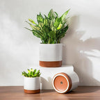 vancasso Ceramic Plant Pots, 4.25+5.25+6.25 Inch Planter Pot with Drainage Hole, Flower Pots for Indoor Outdoor Plants, Set of 3, Khaki