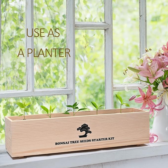 Bonsai Tree Kit with Complete Growing Starter Kit, Great Potted Growing DIY Gift for Adults