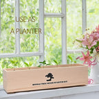 Bonsai Tree Kit with Complete Growing Starter Kit, Great Potted Growing DIY Gift for Adults