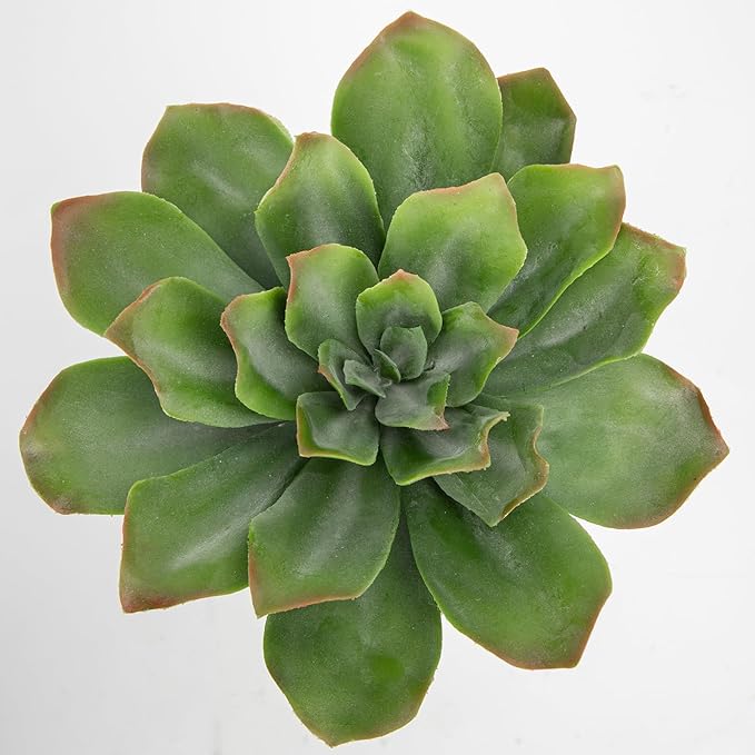 Briful Succulents Plants Artificial for Home Decor, Realistic Potted Fake Plant, Bubbled Plant Pot, Cute Succulents Faux Plant, Shelf Tables Decor, Modern Farmhouse Home Decorations