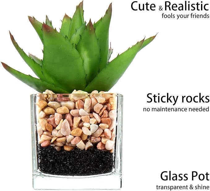 Briful Mini Fake Plants 3 Packs Cute Succulents Artificial Plants in Square Glass Vase Pot Potted Faux Succuletns for Living Room Dining Room Bathroom Kitchen Windowsill Table Decor