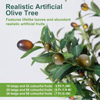 Olive Trees Artificial Indoor, 6FT Tall Faux Olive Tree with Light Kit Moss and Planter, Faux Plants Indoor with Natural Wood Trunk and Lifelike Fruits, Fake Tree for Home Office Living Room Decor