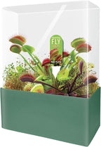 Unique Gardener Grow Your Own Venus Fly Trap, Complete Adults Square Terrarium Starter Kit to Plant Fascinating Man Eating Fly Traps, Includes All Supplies for Indoor Flytrap Terrariums