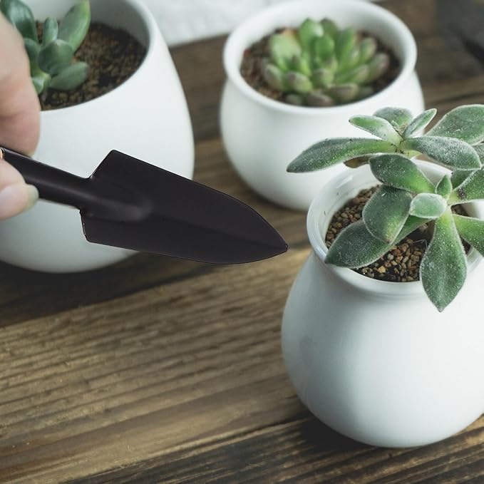 14pcs Succulent Planting Tools Set with Spraying Bottle, Mini Shovel, and Pruning Scissors for Indoor Gardening and Potted Plants, Black Gardening Accessories for Plant Care