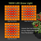3x3 ft Grow Tent Complete Kit, All-in-One Fan with Activated Carbon Filter, 150W Full Spectrum LED Grow Light, 32"x32"x63" High-Reflective 1680D Diamond Mylar Tent and Smart Controller-1