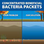 The Pond Guy Seasonal Defense, Spring & Fall Beneficial Bacteria, Barley & Enzymes, Cold Water Pond Sludge & Scum Treatment, Fish & Plant Safe, 96 Packets