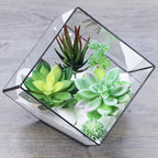 Supla 5 Pcs Assorted Artificial Succulents Plants Unpotted Small Green Cactus Echeveria Picks Fake Succulents Bulk for Succulent Garden Centerpiece Wreath Floral Arrangement Indoor Outdoor Home Décor
