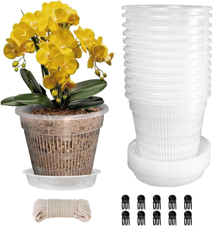 Orchid Pot,12 Pack 5.5Inch Clear Plastic Orchid Pots with Saucers, Orchid Pots with Holes, Orchid Breathable Slotted Pot(12Pcs 5.5in+ Saucers)