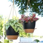 SwinDuck 8 inch Hanging Planters, 2 Pack Self Watering Hanging Pots with 20oZ Deep Reservoir for Indoor Outdoor Plants Flowers, Black with Brown