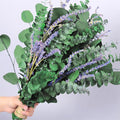 115 PCS Large Dried Preserved Eucalyptus Stems & Lavender Flowers Bundle for Shower, 17'' Real Fresh Hanging Silver Dollar Leaves, Aromatic Self-Care Shower Plants, Natural Fragrance, Home Decor