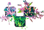 Succulents Plants Live (3-Pack) 2" Hanging Plants Starter Pack, Live Succulent Plants Fully Rooted in Planter Pots with Succulent Soil Mix by The Succulent Cult (3 Pack)