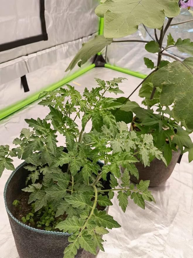 HORTIPOTS Fabric Pots 3 Gallon Non So Floppy Air Pruning Smart Grow Bags Black Gray (Pack of 10)