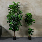 Fiddle Leaf Fig Tree 6ft Tall Artificial Tree in Pot Fake Ficus Lyrata Plants with 184 Decorative Fiddle Leaves Faux Fig Trees for Home Office Living Room Decor Indoor Outdoor, 2 Pack