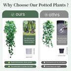 Artificial Hanging Plants for Shelf, 2-Pack Fake Potted Greenery Faux Monstera Leaves Vines in Black Pot, Décor for Office Living Room Bathroom Indoor Outdoor