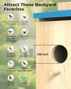 Bird House with Camera Solar Powered, Wi-Fi,Motion Detection & Night Vision,Pine Wood Birdhouse with Camera Inside,Ideal for Backyard & Nature Lovers(Light Blue)