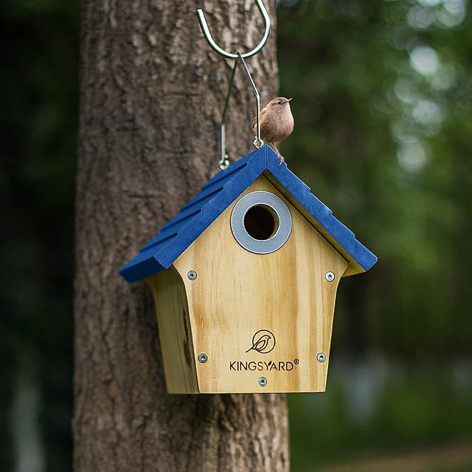 Kingsyard Wooden Wren House with Predator Guard, Bird Nesting for Outdoor, Garden Patio Nest Box Birdhouse for Wild Bird Watching, Royal Blue
