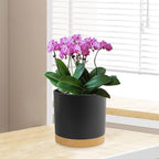 WSMKSZ 5 Pack Cylindrical Flower Pots with 7/6.5/6/5/4 inch, Modern Small Plastic Plant Pots with Drainage Holes & Saucers, Round Planter Pots for Outdoor, Indoor & Office Decor (Black Brown)