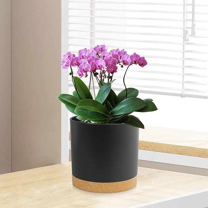 WSMKSZ 5 Pack Cylindrical Flower Pots with 7/6.5/6/5/4 inch, Modern Small Plastic Plant Pots with Drainage Holes & Saucers, Round Planter Pots for Outdoor, Indoor & Office Decor (Black Brown)