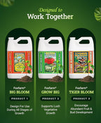 FoxFarm Soil Liquid Trio Pack - Big Bloom, Grow Big, Tiger Bloom Fertilizers Supports Vigorous Plant Growth, Bud Development & Abundant Fruit - Complete Liquid Plant Food Set - 3 Gallon Bottles
