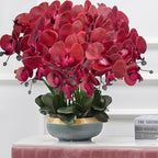 FagusHome 32 Inch Artificial Phalaenopsis Flowers 6 Pcs Artificial Orchid Flowers Stem Plants for Home Décor (Red)