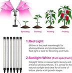 Grow Lights for Indoor Plants, Six Head Plant Light with Full Spectrum, LED Grow Lamps for Seed Starting with Adjustable Gooseneck, Suitable for Flowers Vegetables