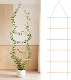 Novabright 15.7'' Chain Trellis for Climbing Plants Indoor Natural Wood Ladder Plant Support for Vines Ivy Pothos Wide Strong Climbing Support Modern Home Decor Garden Use Indoor Outdoor