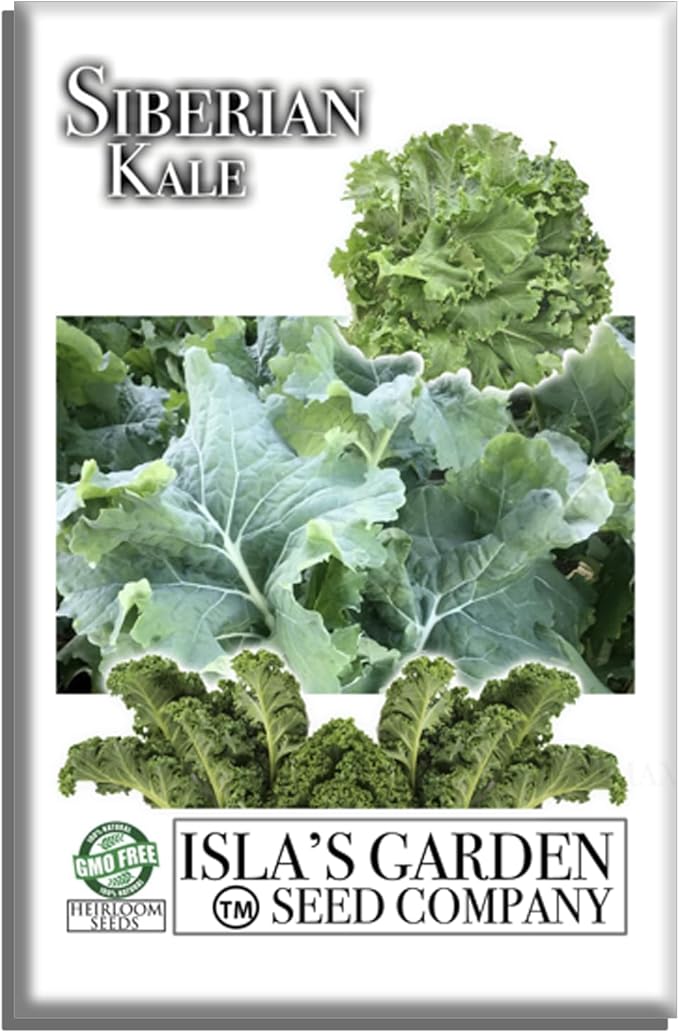 Siberian Kale Seeds for Planting – 1000+ Non-GMO & Heirloom Seeds by Isla's Garden Seeds, Brassica Napus, Cold-Tolerant Leafy Green, Fast-Growing Vegetable, Great Gift for Home Gardeners
