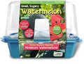 Unique Gardener Grow Your Own Watermelons, Premium Plant Seeds for Indoor Planting & Outdoor Gardening, Mini Live Sweet & Delicious Watermelon Plants Weigh 6-10 lbs, Just Add Water