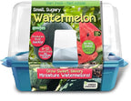 Unique Gardener Grow Your Own Watermelons, Premium Plant Seeds for Indoor Planting & Outdoor Gardening, Mini Live Sweet & Delicious Watermelon Plants Weigh 6-10 lbs, Just Add Water