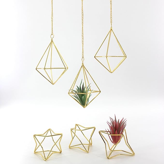 Air Plant Hangers with Chains, 6 Pcs Gold Tillandsia Holders for Wall/Ceiling Decor, 3 Hangers + 3 Stands Set, Boho Indoor Home Office Display, Modern Air Fern Plant Décor