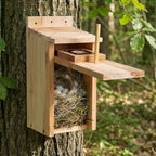 Bird Houses for Outside Clearance with Copper Guard, Pine Bird House Outdoor, Bluebird Finch Swallow Wren Chickadee No Assembly Required, 1 Pack
