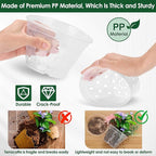 12 Pack Plastic Orchid Pots with Holes,5 Sizes 3, 4, 5, 6,7 Inch Clear Orchid Pots for Repotting with Saucers Drainage and Plant Stakes, Large Small Breathable Orchids Planter Plant Pot