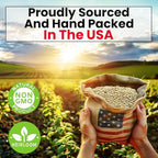 NatureZ Edge Cat Grass Seeds & Catnip Seeds - 3 Pack Variety Kit, Cat Grass for Indoor Cats, Oat & Barley Seeds for Planting, Cat Plant, Indoor Cat Grass Kit, hierba para Gatos