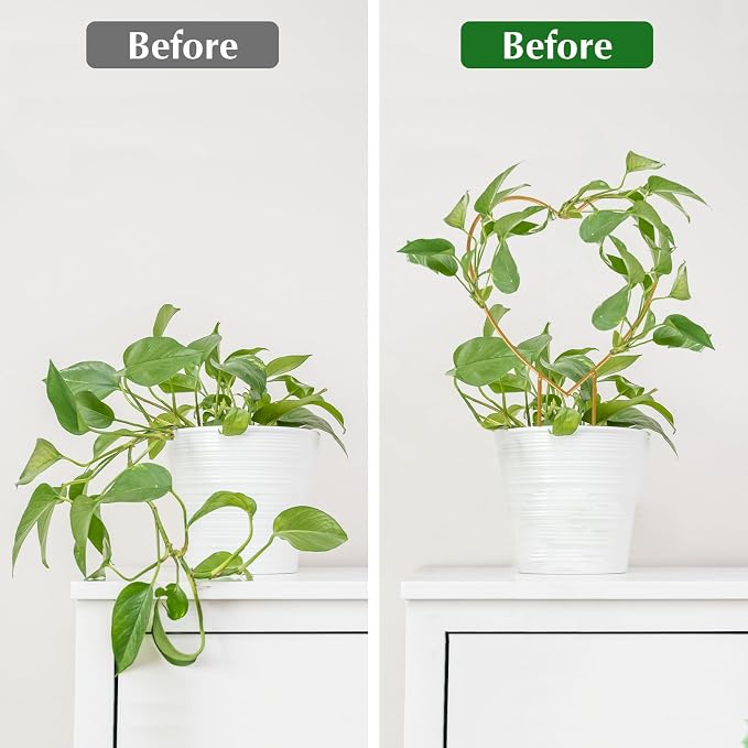 Hoya Trellis 3 Size Indoor Plants Flower Support Stakes Round or Heart Metal Trellis Set Garden Tool Accessories for Small Potted Vine Climbing Houseplants (GoldenH)