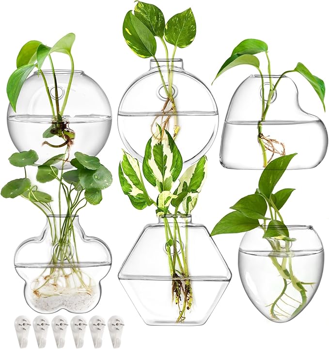 yarlung Set of 6 Wall Hanging Planter Terrarium, Clear Glass Plant Vase Wall Mount for Propagating Hydroponics Plant, Indoor Air Plants, Stylish 6 Shapes (Plants Not Included)