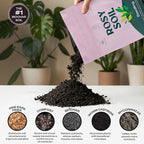 Rosy Soil Seedling Seed Starter Soil - Peat-Free Organic Potting Mix for Seeds, Cuttings, Microgreens- w/Worm Castings, Root-Boosting Biochar, Less Prone to Gnats, for Germination, Propagation - 4qt