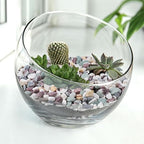 Pulovin 5 lbs Pea Gravel for Plants, Aquarium, Fish Tank, 3/8 inch Decorative Pebbles for Indoor Plants, Succulent, Bamboo, Vase, Drainage Rocks for Potted Plants, Top Dressing, Mixed Color