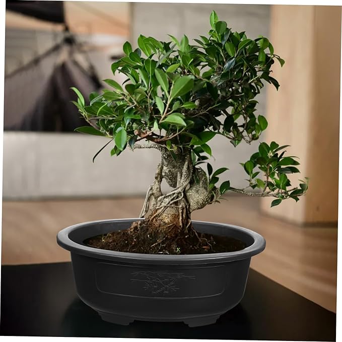 Angoily Bonsai Pots, 2PCS Bonsai Training Pot, 15 Inch Tree with Drainage Tray, Deep Oval Planter for Desktop, Garden, Balcony, Plastic Asian Tall Training