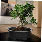 Angoily Bonsai Pots, 2PCS Bonsai Training Pot, 15 Inch Tree with Drainage Tray, Deep Oval Planter for Desktop, Garden, Balcony, Plastic Asian Tall Training