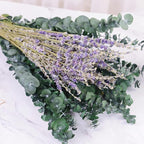 115 Pcs Eucalyptus Stems & Lavenders Flowers Bundles for Shower, 17'' Upgrade Hanging Shower Plant, Natural Real Eucalyptus Leaves Lavenders Stems with Chrysanthemums, Fragrant Bathroom Decor
