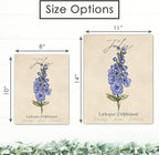 July Birth Flower Art Print - 8x10 (Unframed) | Capturing the Splendor of the July Birth Flower | Decor Accent for Birthdays and Special Occasions | Living Room Decor | Modern Home Decor