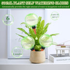 6pcs Large Plant Self Watering Globes, 17.5 oz Plastic Water Bulbs Top Fill, Plant Watering Devices System Slow Release Terracotta, Water Spikes Stakes for Indoor(6pack)