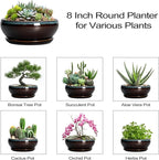 SQOWL Succulent Planters 8 Inch - Ceramic Bonsai Pots with Drainage Hole and Ceramic Saucer, Round Shallow Planter for Indoor Plant, Bowl Planter Outdoor, Desk Decor, Gift for Plant Lover, Blue-Brown