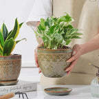 Sureasy Ceramic Indoor Plant Pots, 5.6 Inch Flower Pots for Plants with Drainage Hole and Saucer, Embossed Planter for Succulents, Orchid, Cactus, Indoor Home Decor, Set of 4, Green