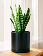 D'vine Dev 8.2 Inch Ceramic Planter Pot with Drainage Hole and Saucer, Indoor Cylinder Round Planter Pot, Black, 94-O-D-2